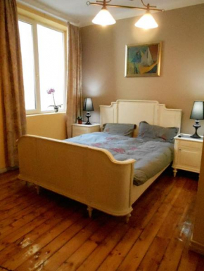 Отель Orient Express Hostel  София